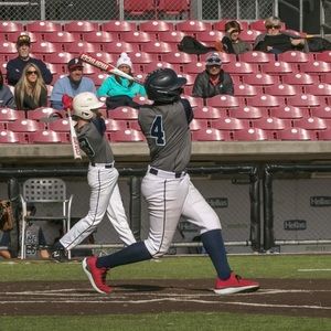 Meet your Posher, Freddie